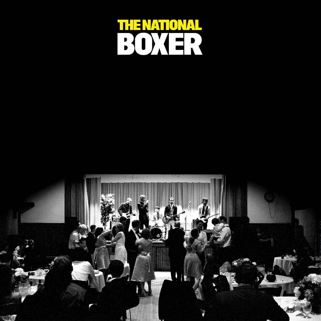 the national boxer