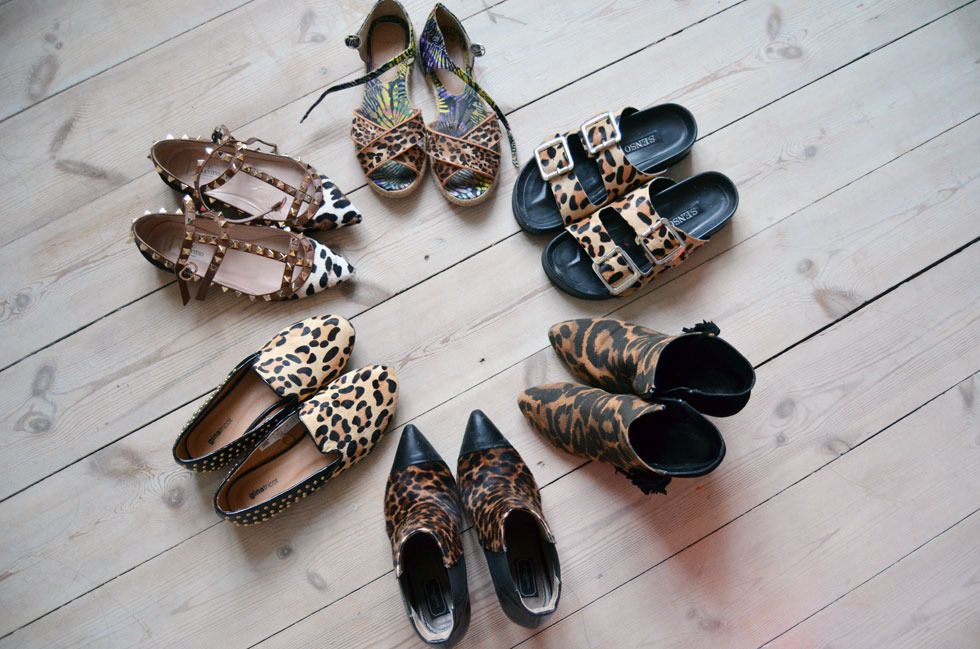  photo leopard-shoe-collection-1.jpg