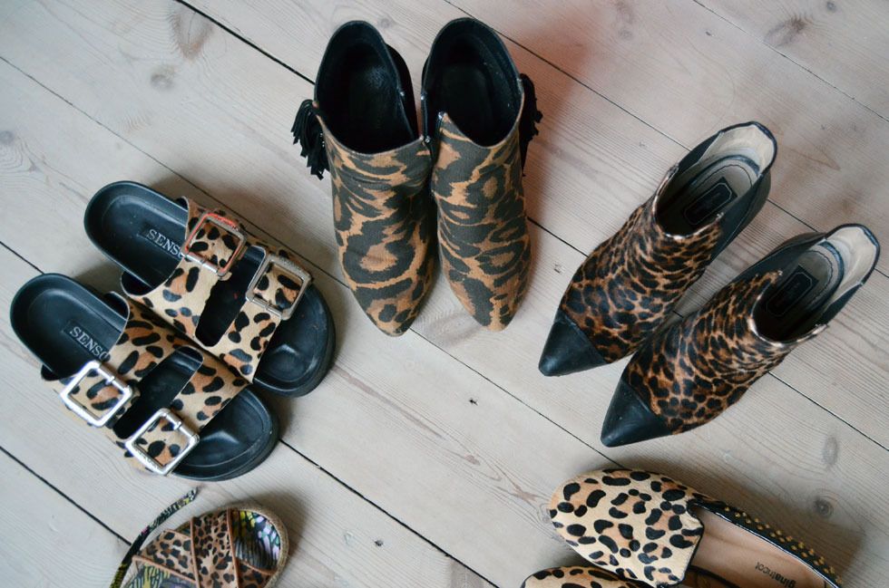  photo leopard-shoe-collection-1a.jpg