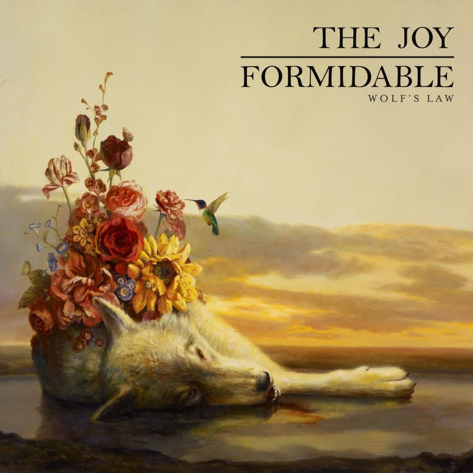 the joy formidable