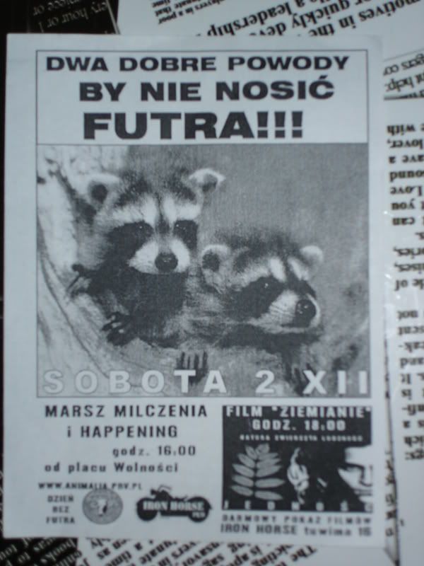 [Obrazek: DSC03161.jpg]