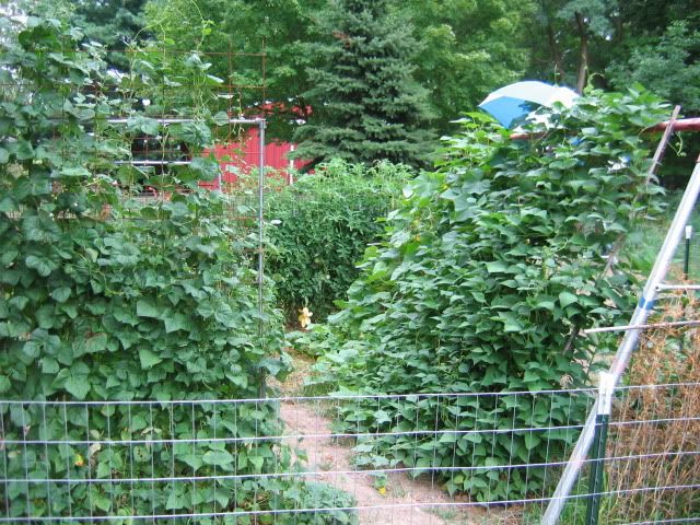 2012 garden photo IMG_8939.jpg