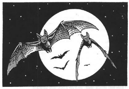 bats photo: bats BATS.jpg