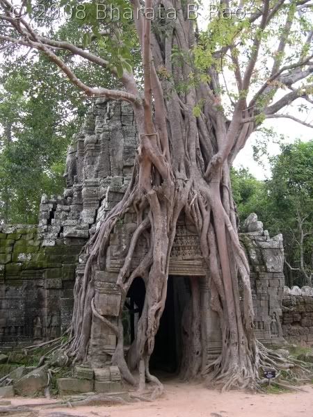 Cambodia Shiva Temple