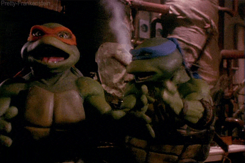 TMNTReactionGIF.gif