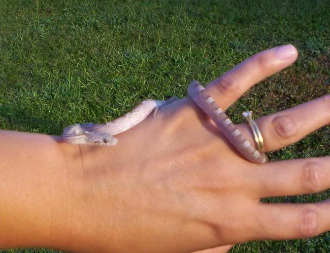 100_1253.jpg