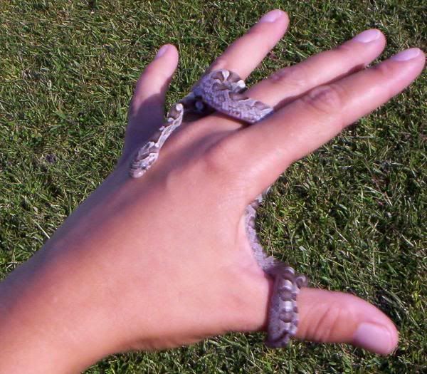 100_1290.jpg