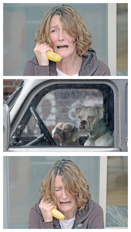 banana-dogs.jpg