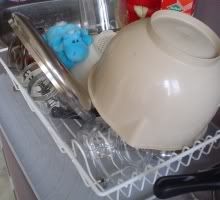 Bud Belly moet afwassen