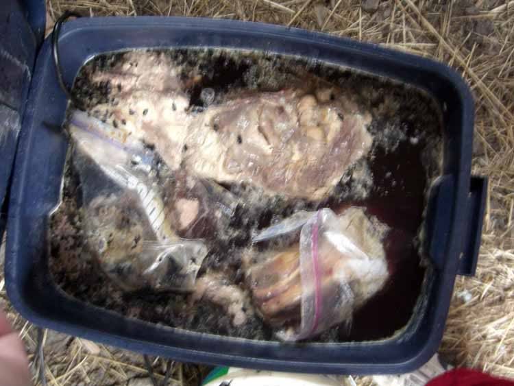 Maceration Step by Step Revisited Forum