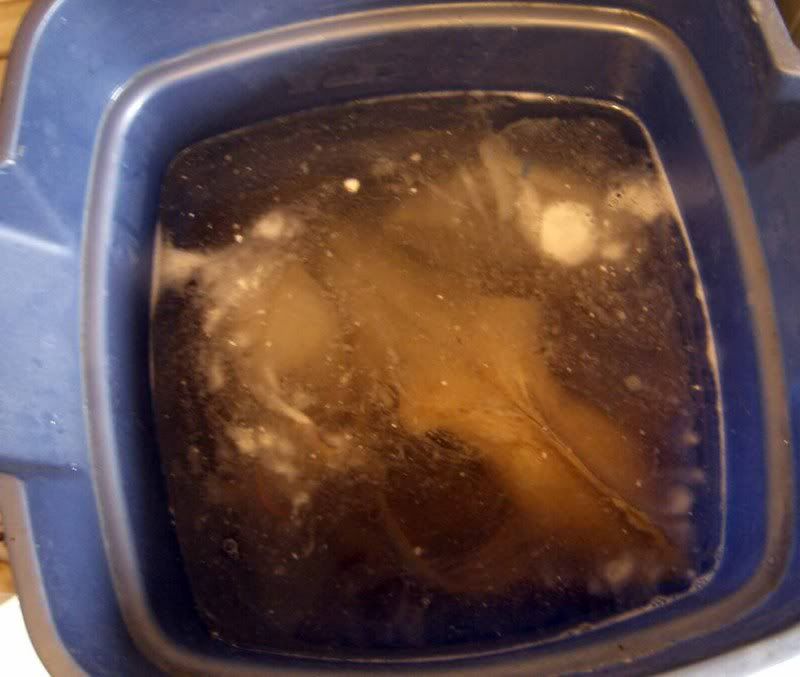 Maceration Step by Step Revisited Forum