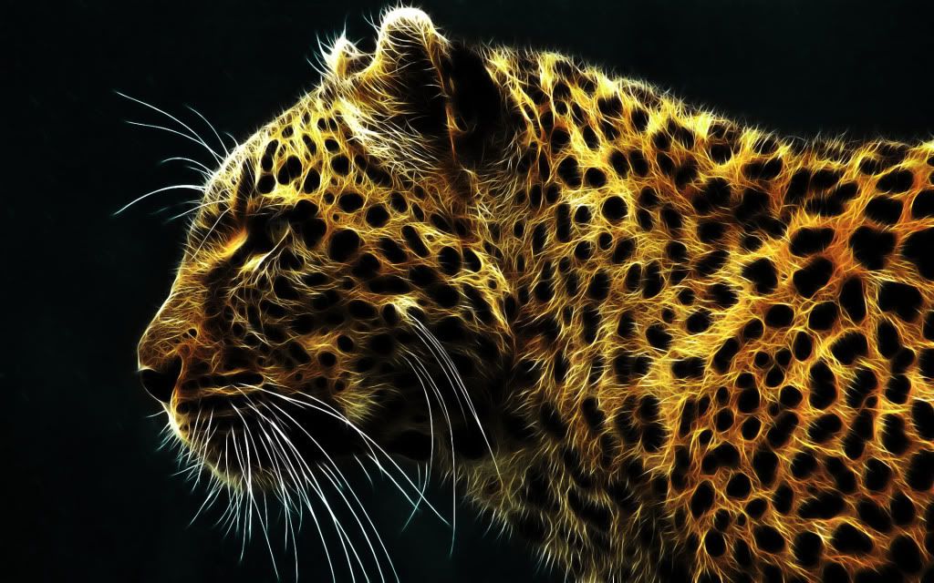 Leopard wallpaper Pictures, Images and Photos