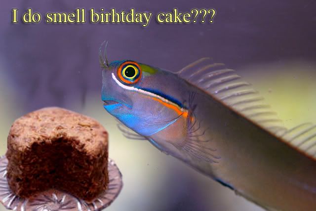 birhtday.jpg