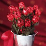 ChocolateRoses.jpg image by Mealla