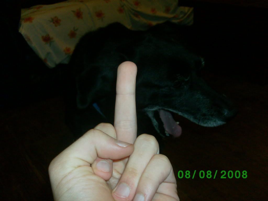 Picture002.jpg