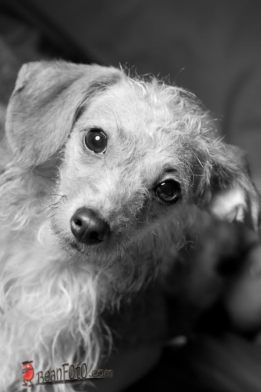 IMAGE: http://i46.photobucket.com/albums/f134/wanmatt/IMG_0012.jpg