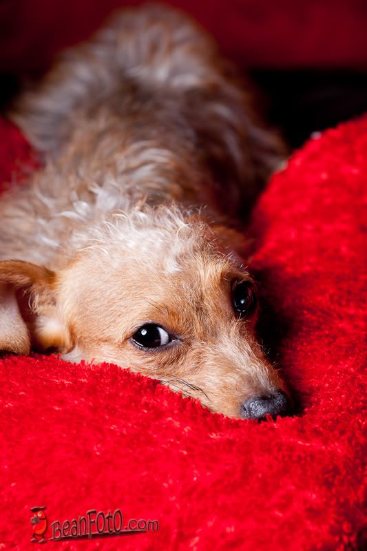 IMAGE: http://i46.photobucket.com/albums/f134/wanmatt/IMG_0020.jpg