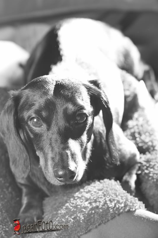 IMAGE: http://i46.photobucket.com/albums/f134/wanmatt/IMG_0031.jpg