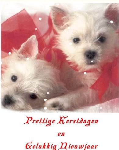 [img width=390 height=490]http://i46.photobucket.com/albums/f135/angela-lwd/voormienskattenn.jpg[/img]