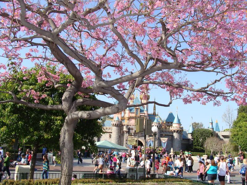 disneyland california castle. castle at Disneyland Park