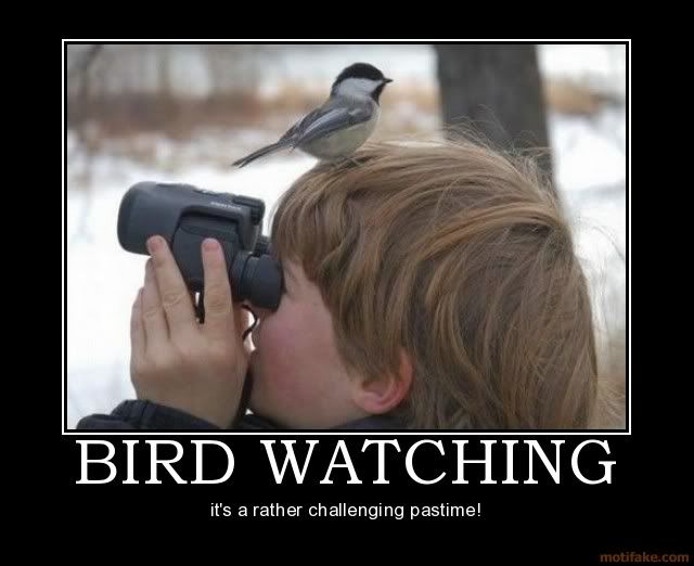 [Image: bird-watching-demotivational-poster.jpg]
