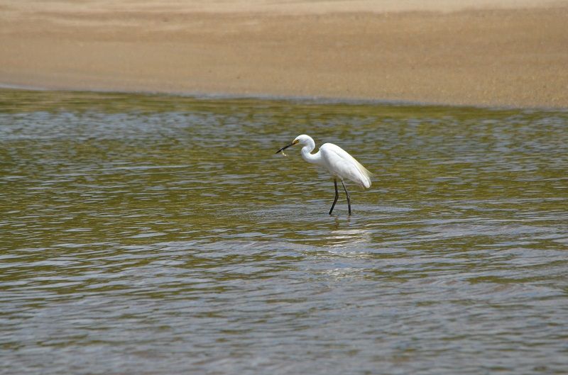 DSC_1466_zps6156a0ae.jpg