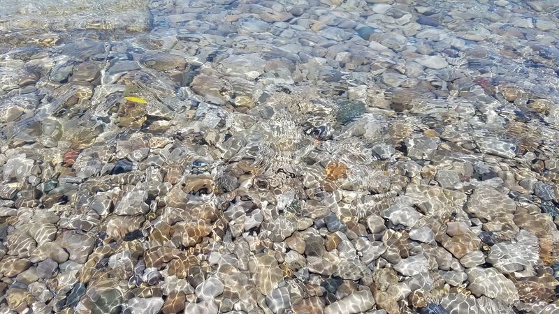 20160525_131243.jpg