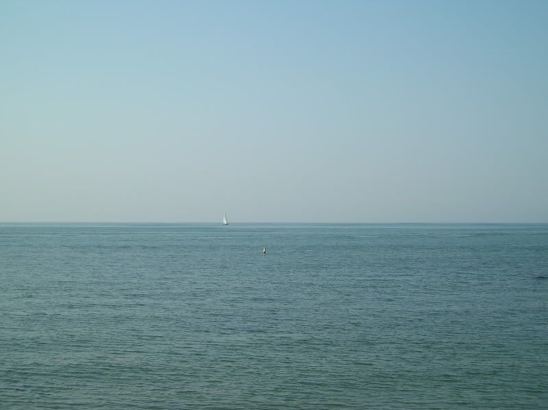 P1010002-1.jpg