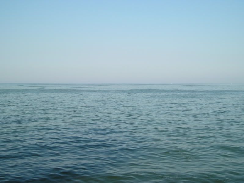 P1010035.jpg