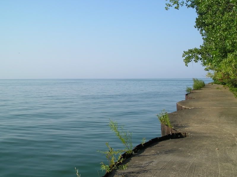 P1010043.jpg