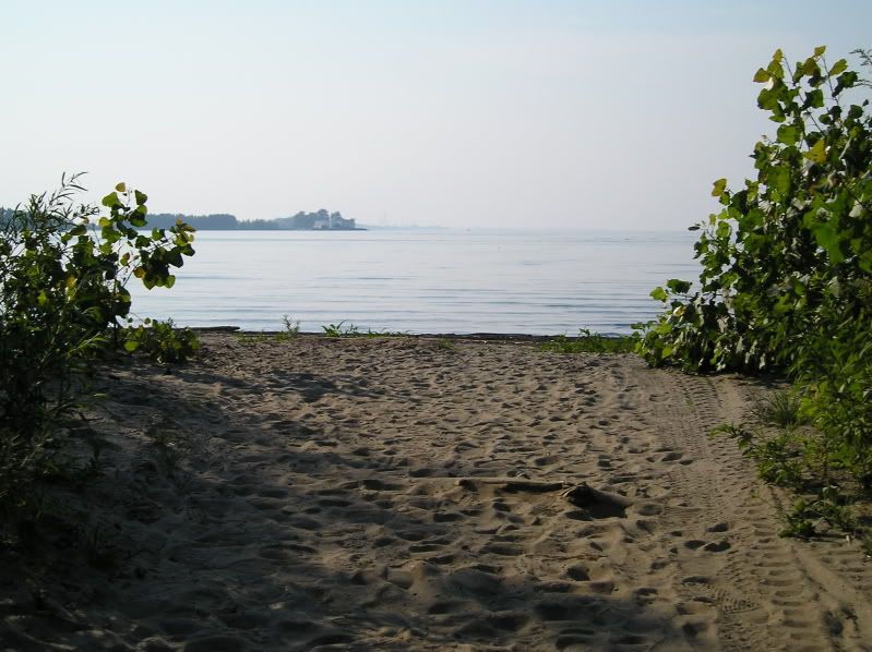 P1010046-1.jpg