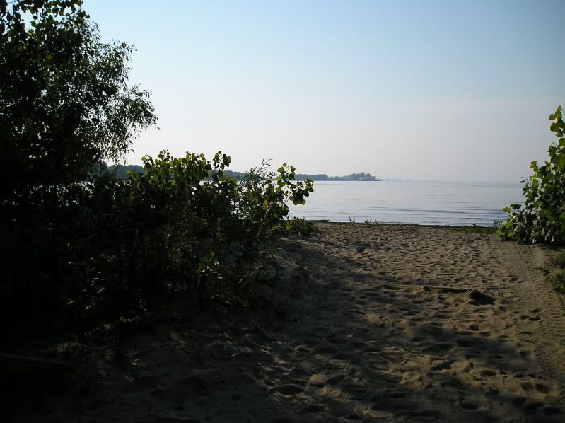 P1010047.jpg