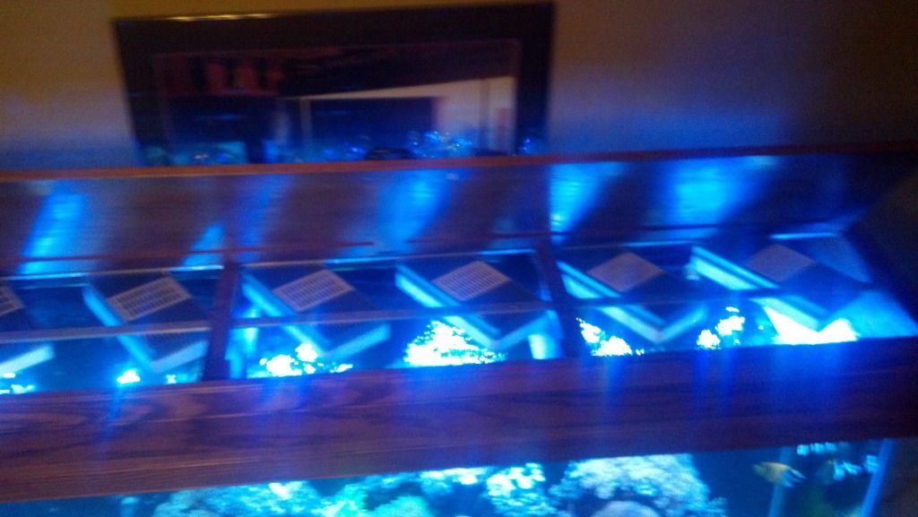 2012-08-27_20-45-20_719.jpg