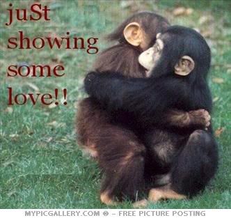 monkey love presentment