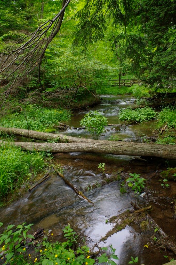 Weavers Creek Falls