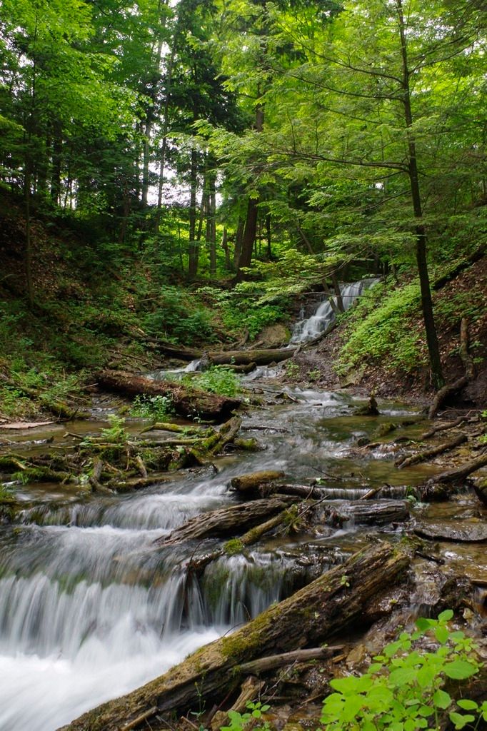 Weavers Creek Falls