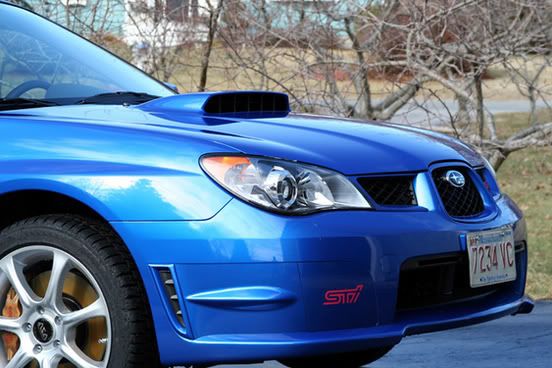 IMAGE: http://i46.photobucket.com/albums/f136/csaitken/IMG_0537-web.jpg