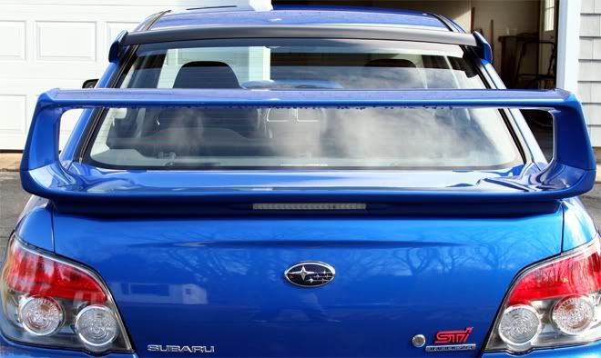 IMAGE: http://i46.photobucket.com/albums/f136/csaitken/Tail-web.jpg