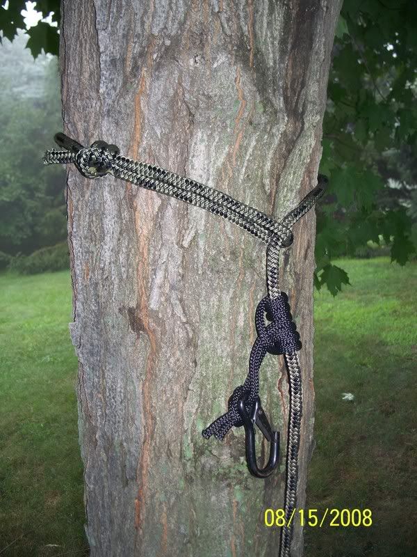Safety harness help. Tree is to wide for support strap. New Jersey