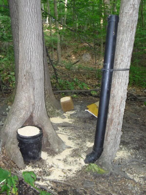 Homemade Deer Feeders 5 Gallon Bucket Homemade Ftempo