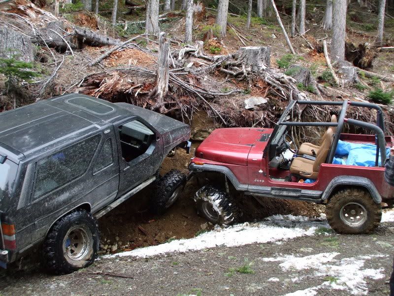 Wristed radius arm buildup? Pirate 4x4