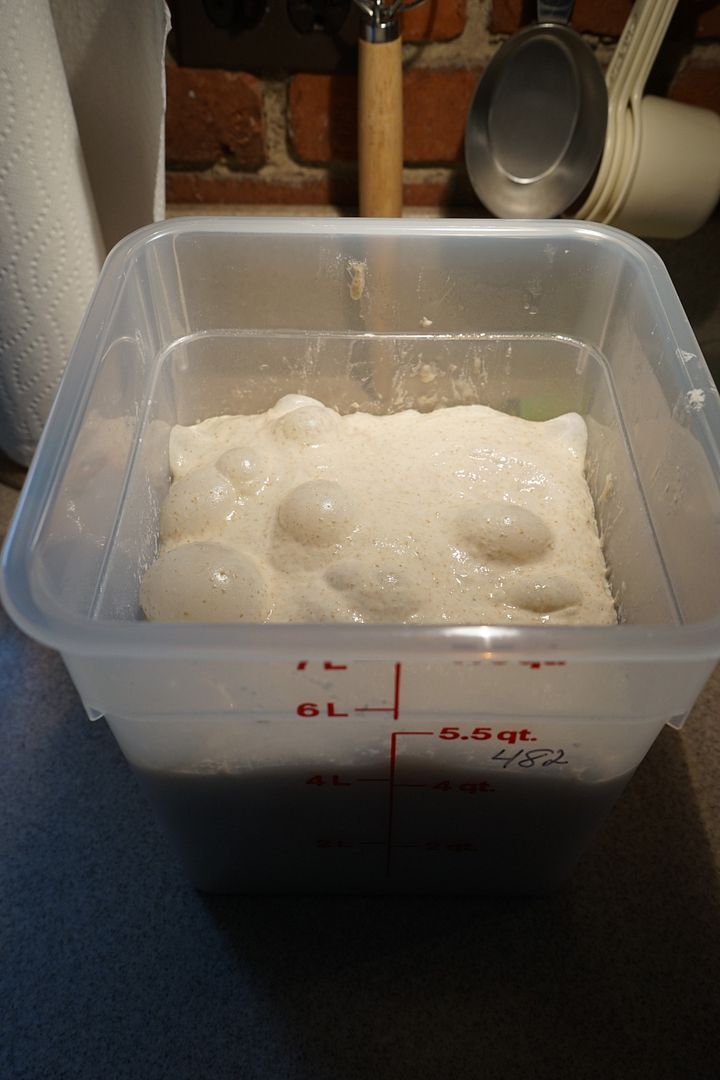 DSC03344_zpst3iytupv.jpg