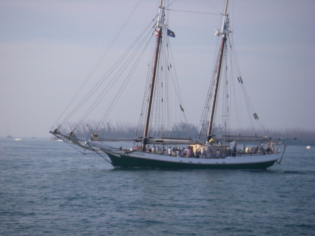 IMGP0153.jpg