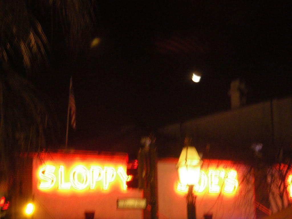 IMGP0184.jpg