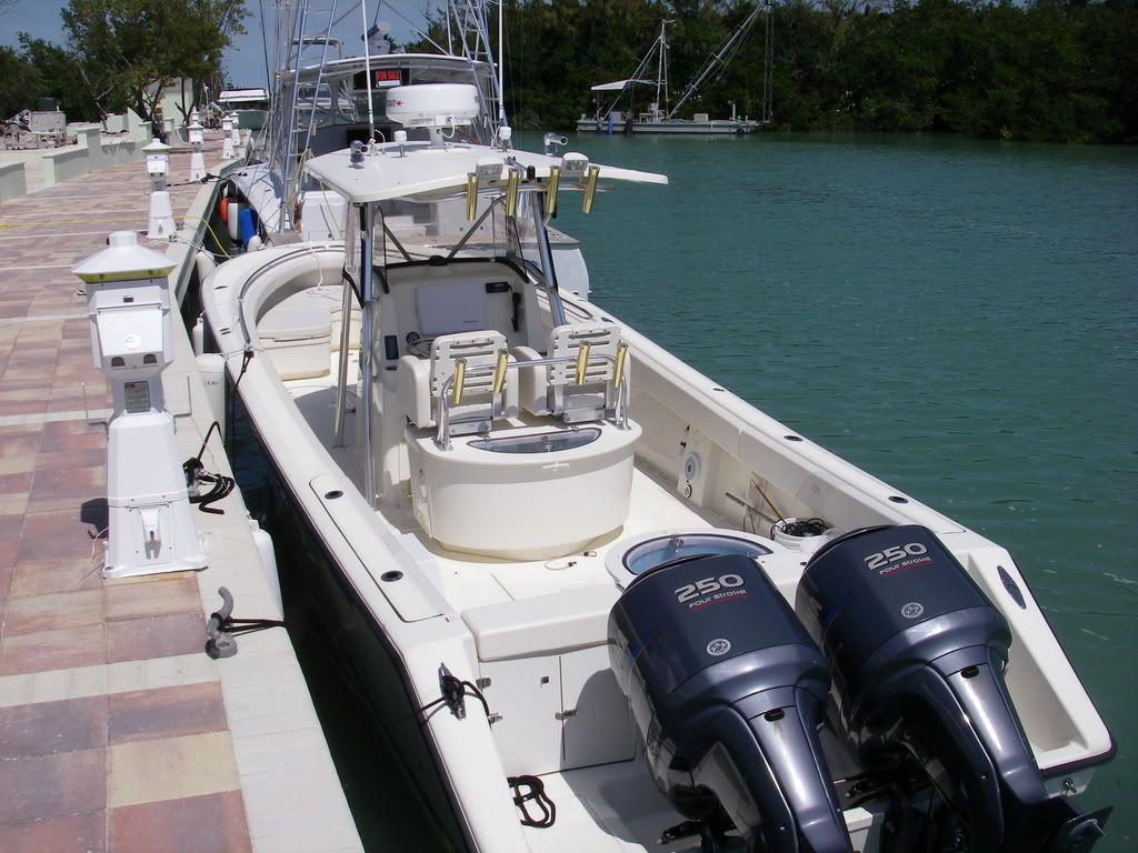 IMGP0203.jpg