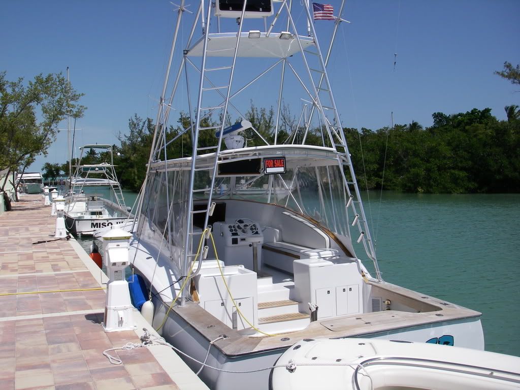 IMGP0205.jpg