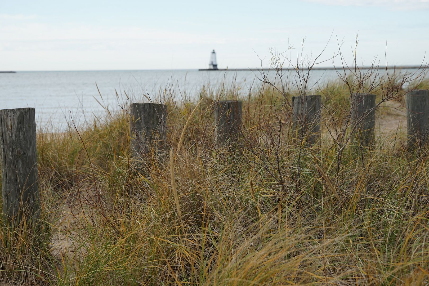 DSC02725_zpsw1zx26vb.jpg
