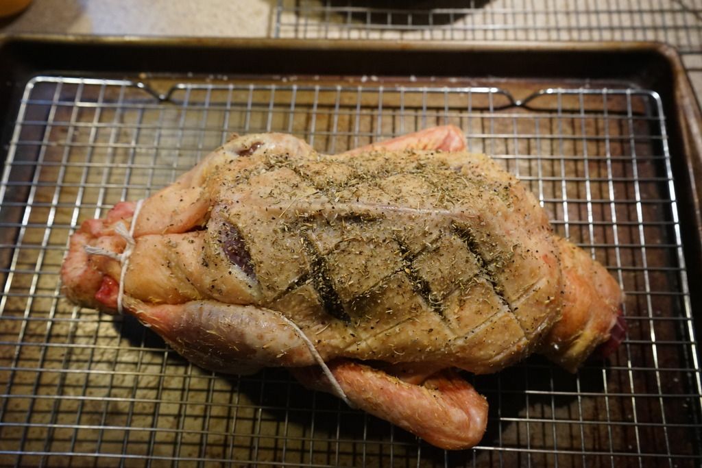 DSC03271_zps0ukrwufv.jpg