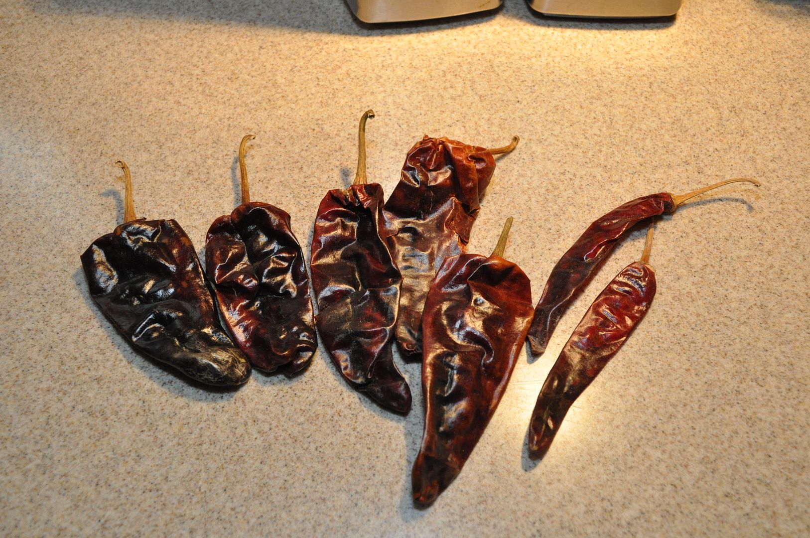 DSC_1557_zps7f258c65.jpg