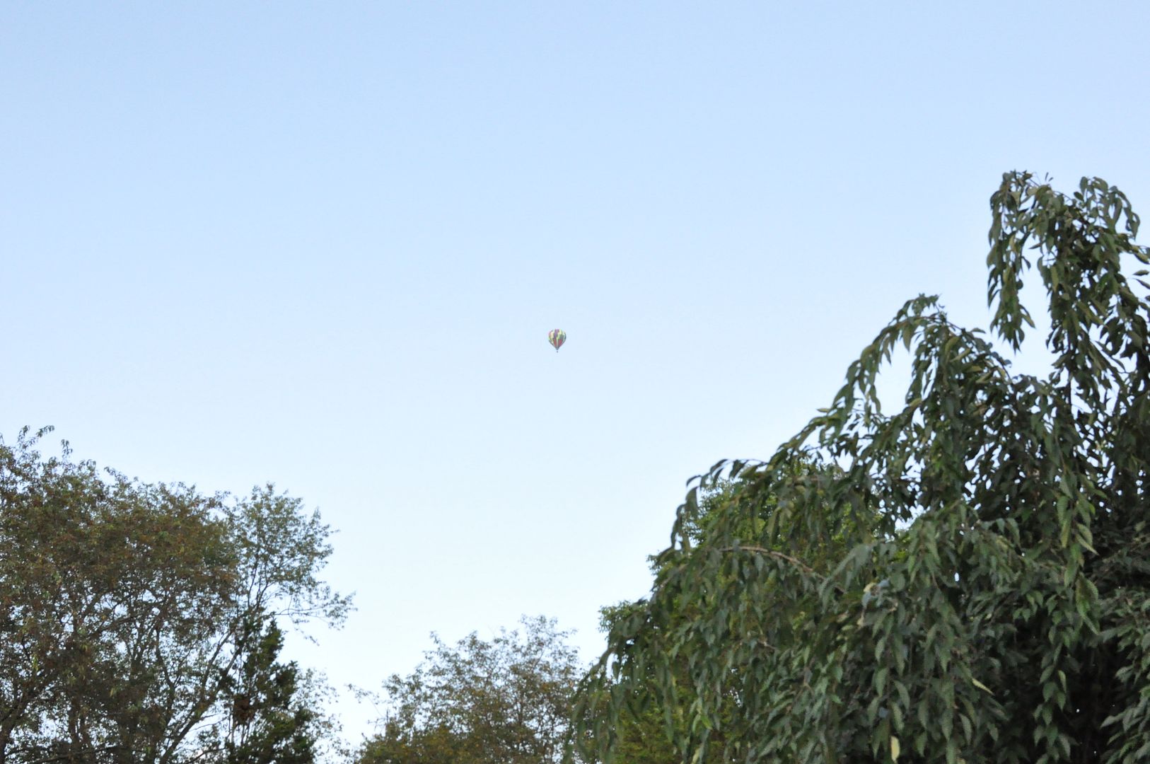 DSC_0581_zps9a3d3147.jpg